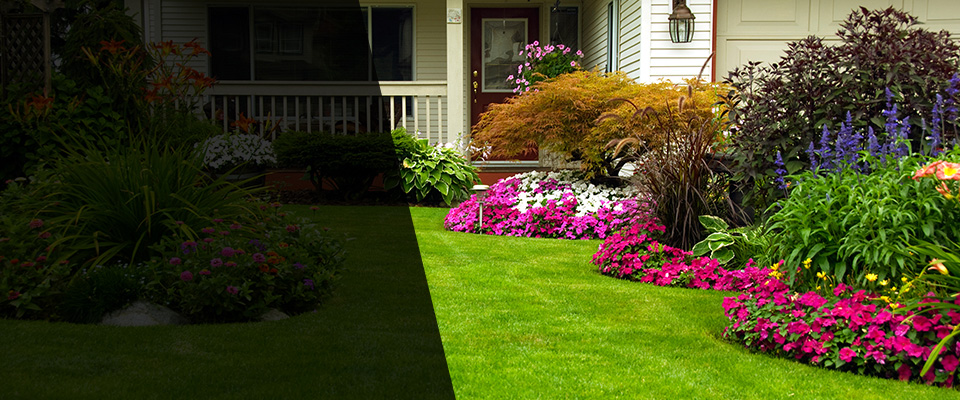 Lindon Landscapers
