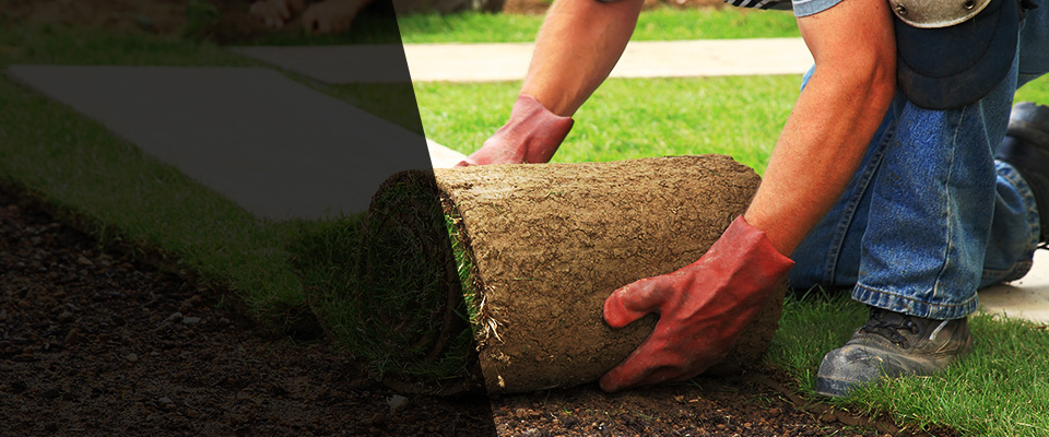 Lindon Landscapers